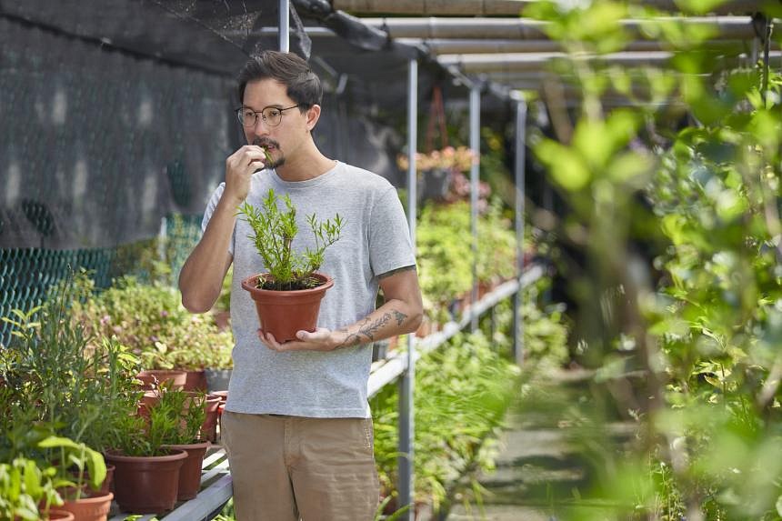 Meet the local farmers growing vegetables in underused spaces to